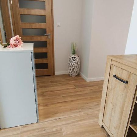 Apartament 10 Płock Zewnętrze zdjęcie