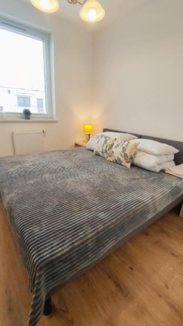 Apartament 10 Płock Zewnętrze zdjęcie